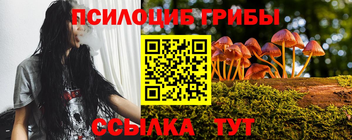 Заволжье  Галлюциногенные грибы Psilocybine cubensis  дарнет шоп  Вход с VPN 
