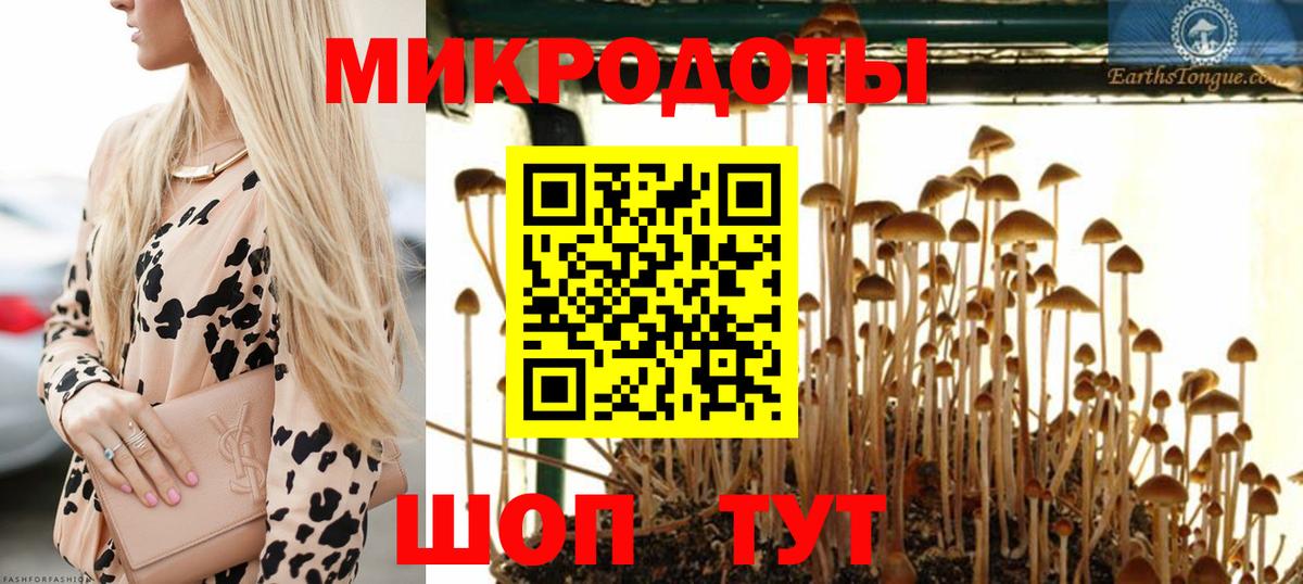 Галлюциногенные грибы GOLDEN TEACHER Заволжье